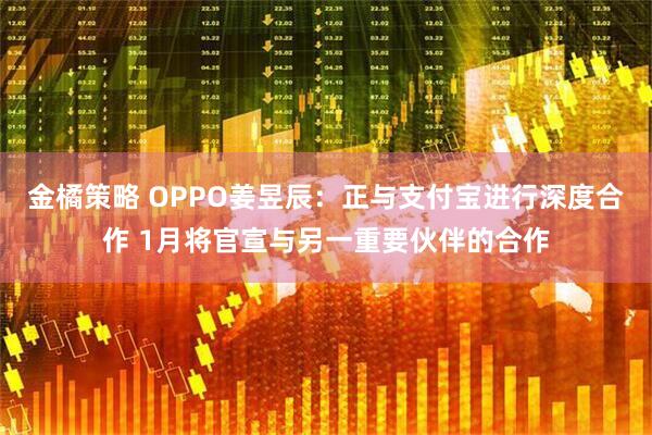 金橘策略 OPPO姜昱辰：正与支付宝进行深度合作 1月将官宣与另一重要伙伴的合作