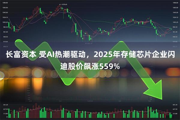 长富资本 受AI热潮驱动，2025年存储芯片企业闪迪股价飙涨559%