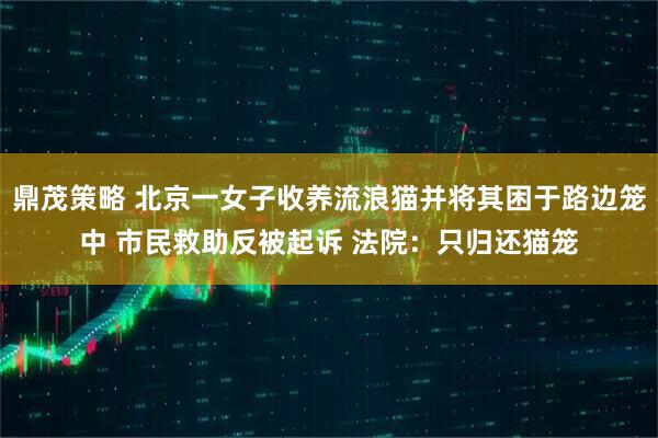 鼎茂策略 北京一女子收养流浪猫并将其困于路边笼中 市民救助反被起诉 法院:只归还猫笼