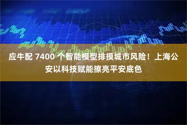 应牛配 7400 个智能模型排摸城市风险！上海公安以科技赋能擦亮平安底色