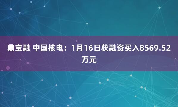 鼎宝融 中国核电：1月16日获融资买入8569.52万元