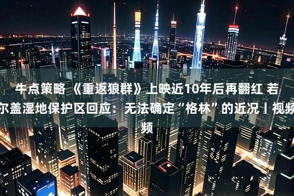 牛点策略 《重返狼群》上映近10年后再翻红 若尔盖湿地保护区回应：无法确定“格林”的近况丨视频