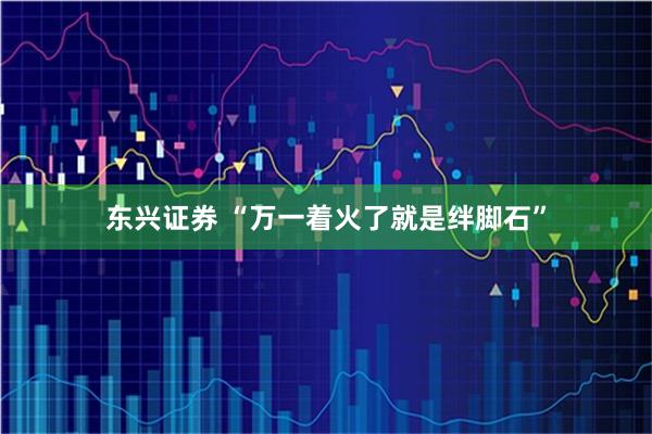 东兴证券 “万一着火了就是绊脚石”