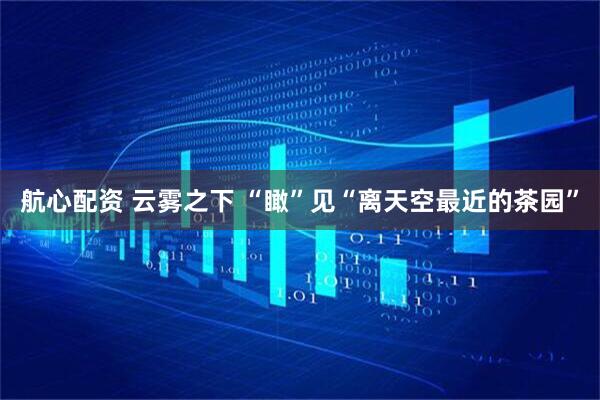 航心配资 云雾之下 “瞰”见“离天空最近的茶园”